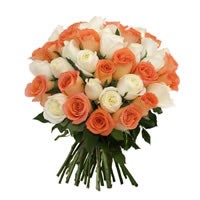 Ambiance Bouquet - Regalar Rosas, Regalar tulipanes, regalar flores,regalar arreglos florales, regalar regalos